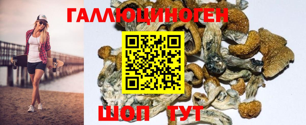 Псилоцибиновые грибы GOLDEN TEACHER Советская Гавань