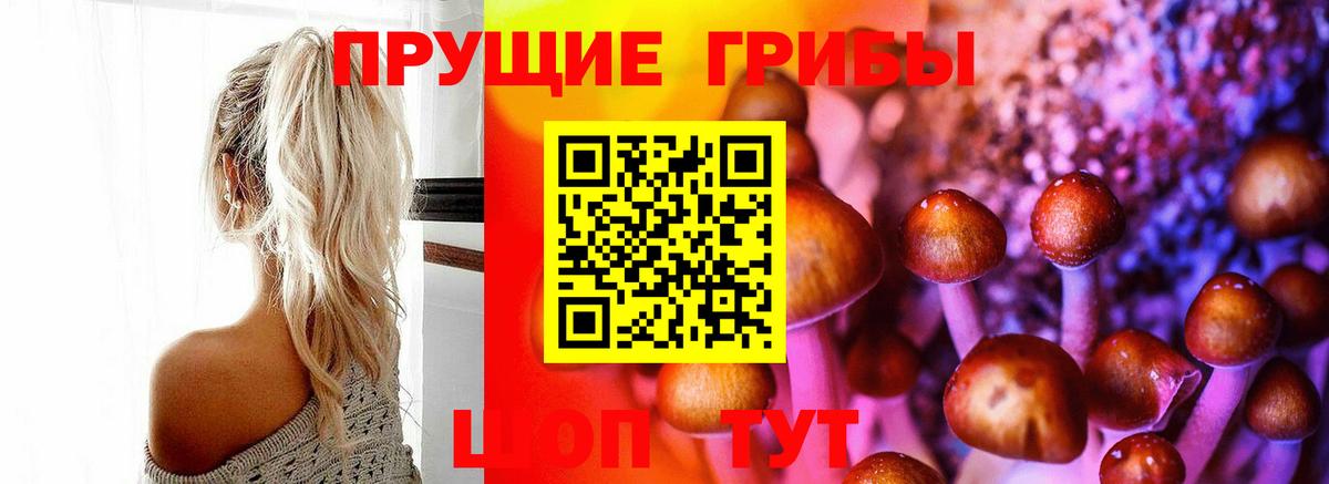 Псилоцибиновые грибы ЛСД  Вход с VPN  Советская Гавань 